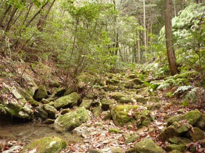 小さな川も流れているんだぜ？