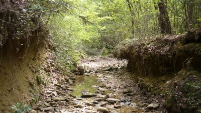 水の力で川の左右がえぐれて道となっている。