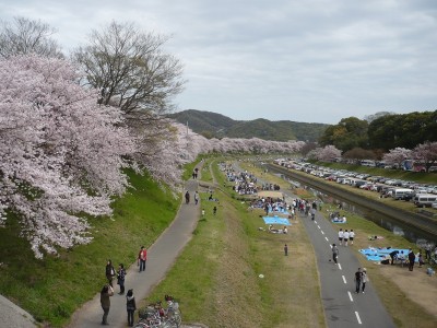 週末だから人が多いのなんの