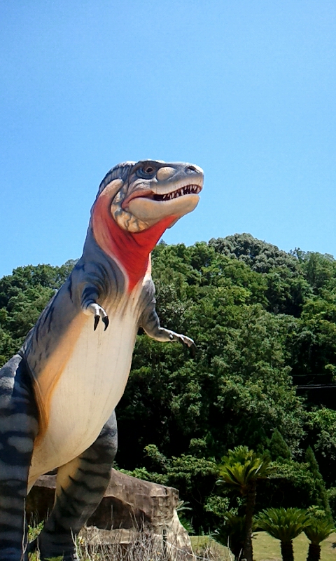 近くで見上げたティラノサウルスの写真 近くで見上げたティラノサウルスの写真