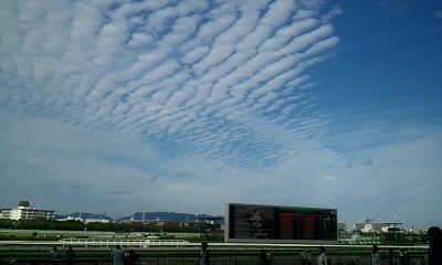 透き通るような秋空