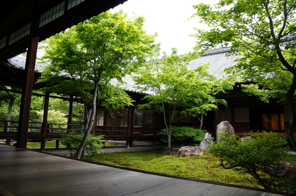 建物の中に広がる庭 建物の中に広がる庭