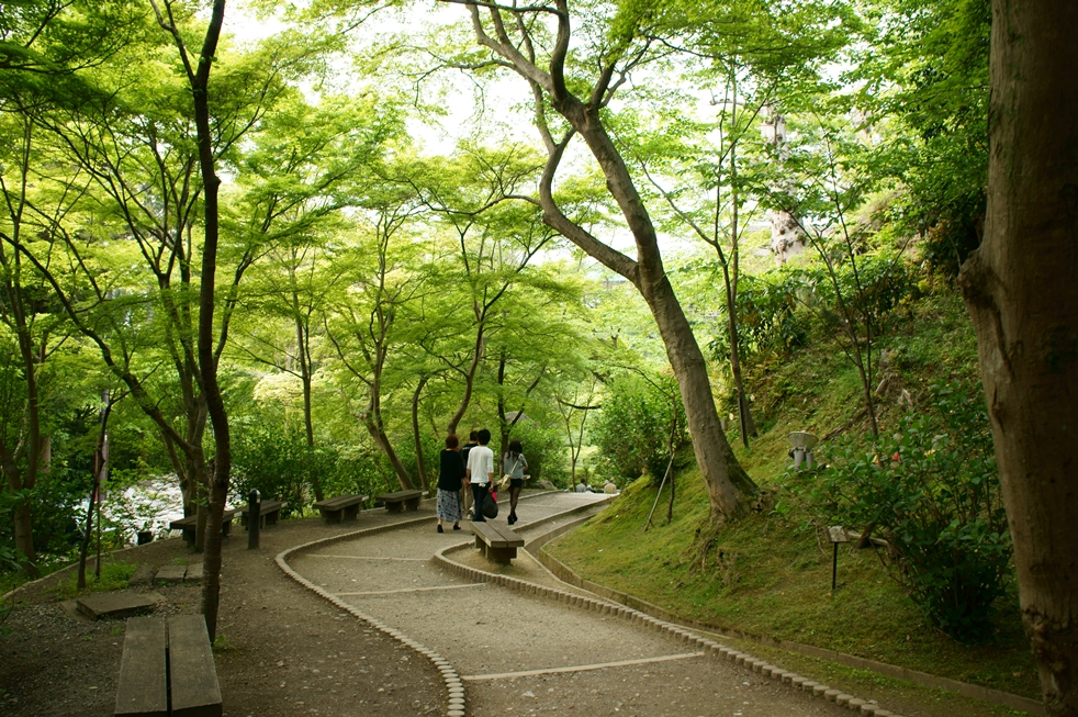 清水寺の散策路 清水寺の散策路