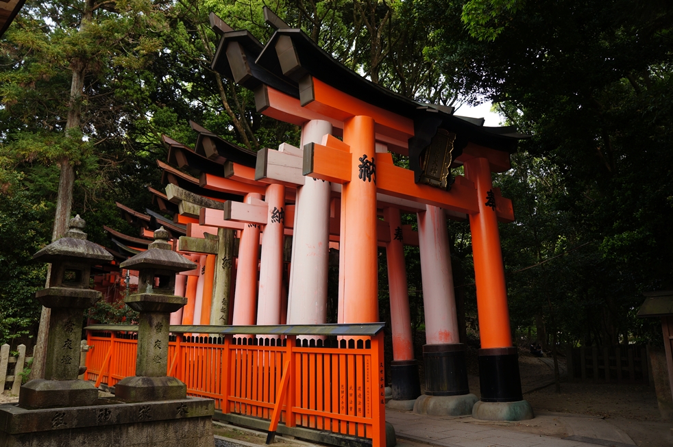 鳥居の連なり 鳥居の連なり
