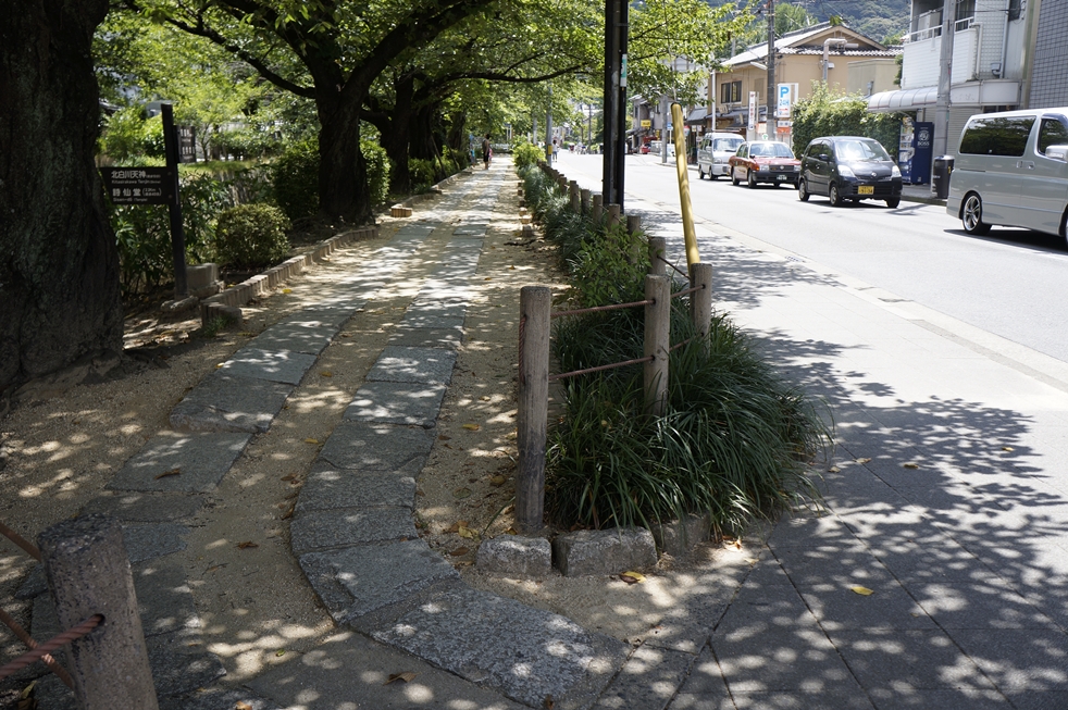 木漏れ日きらめく哲学の道 木漏れ日きらめく哲学の道