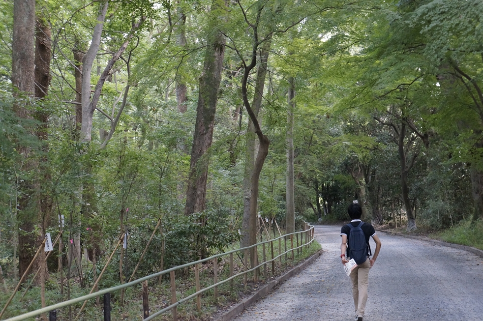 歩むことを止めないイケメン 歩むことを止めないイケメン