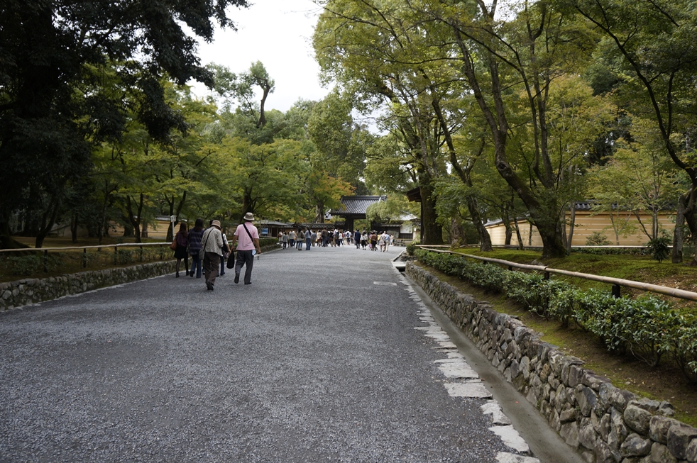 金閣へと続く道 金閣へと続く道