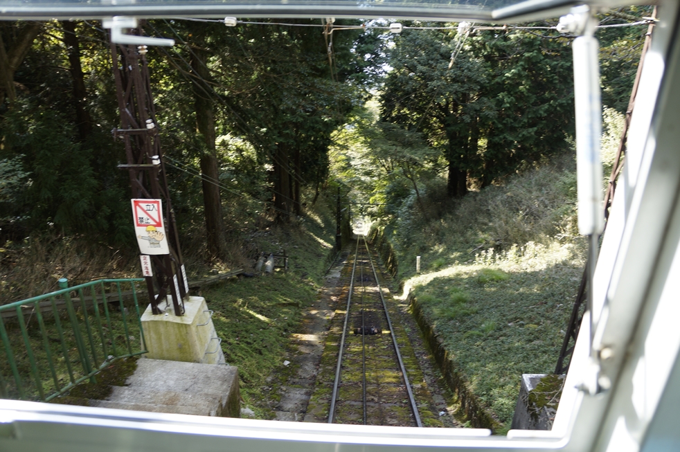 森に消える線路 森に消える線路