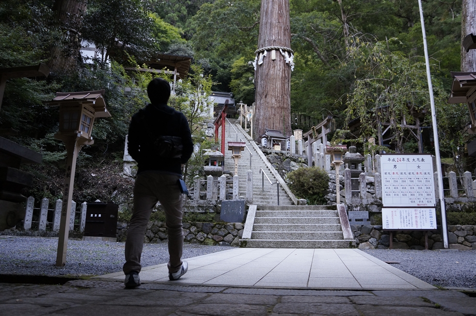 真ん中に移る大きな木 真ん中に移る大きな木