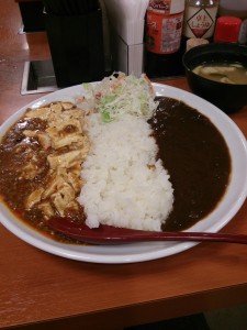 麻婆豆腐とカレー