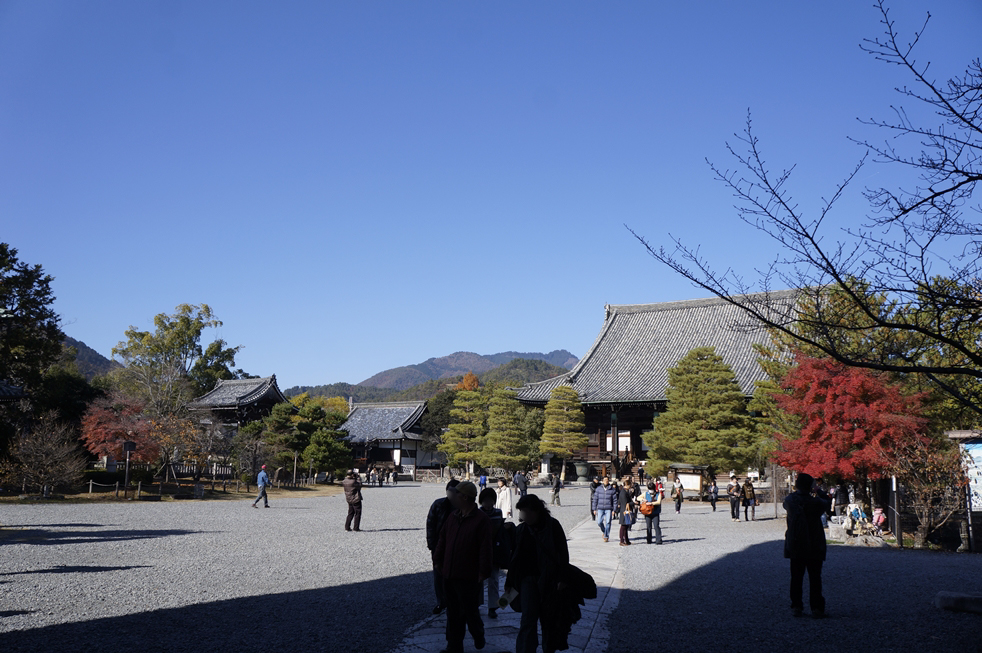 清涼寺の境内