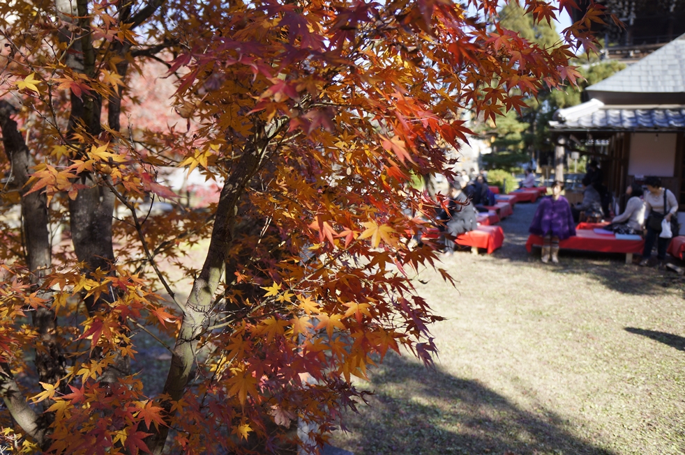 大文字屋と紅葉