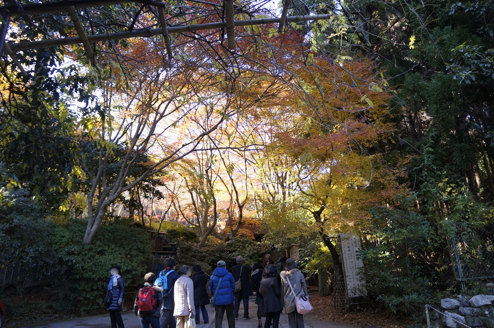 祇王寺の入り口