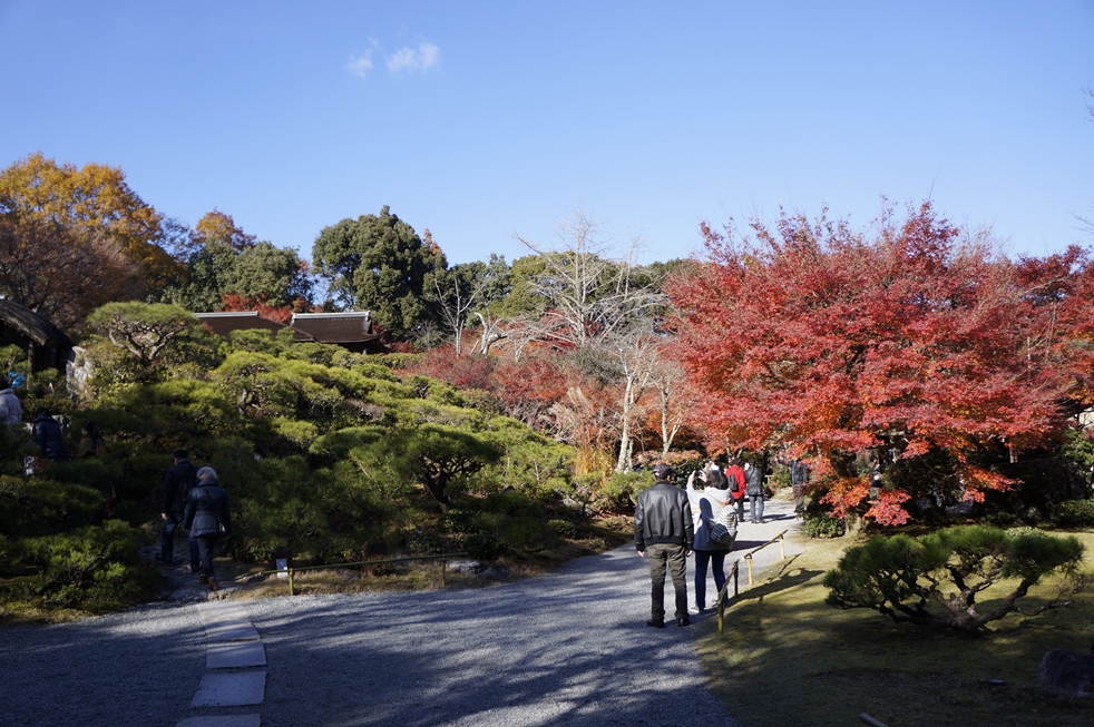 きちんと手入れされた庭園