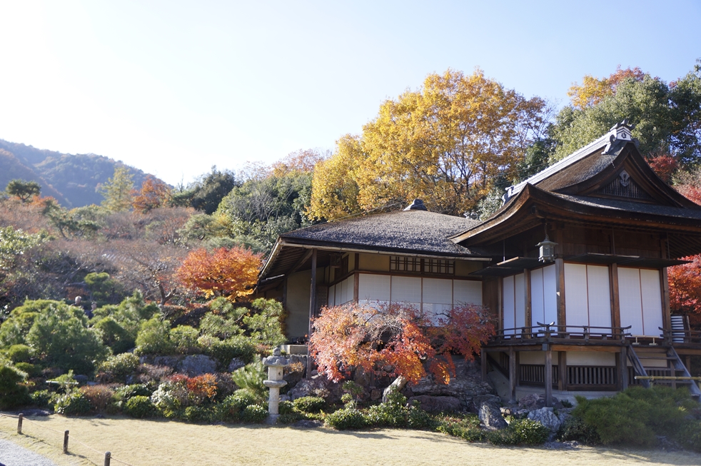 普通の山荘