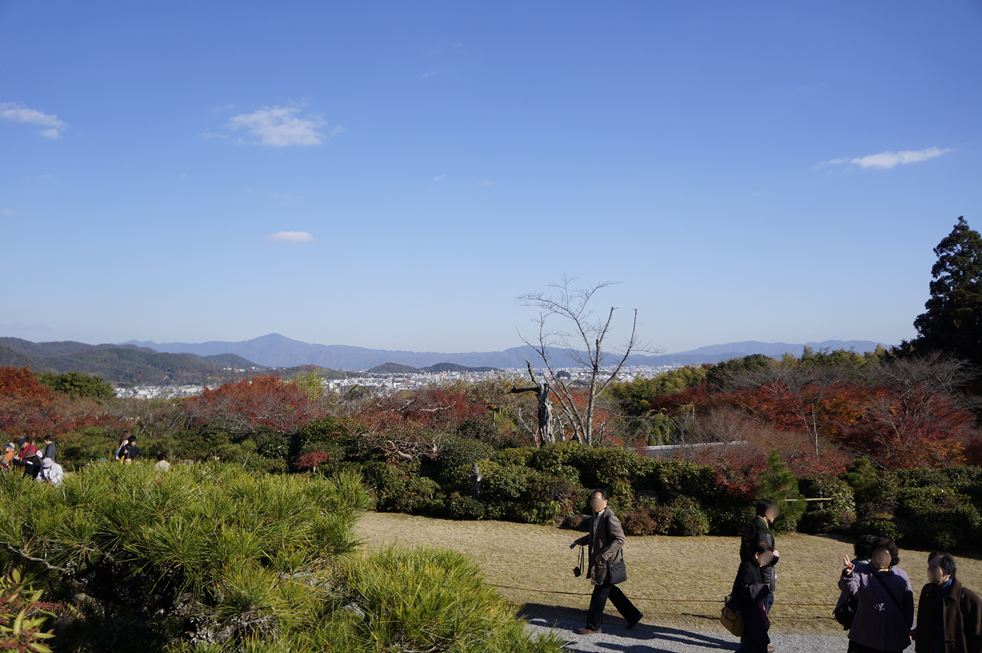 京都市が一望出来る