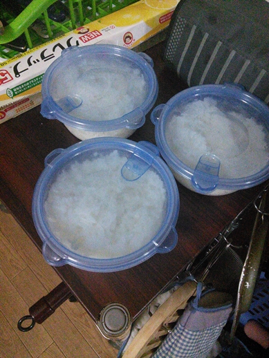 ご飯を入れるとこんな感じ