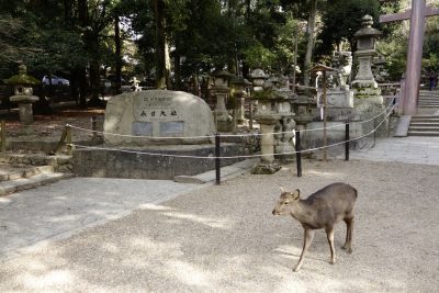 春日大社の石