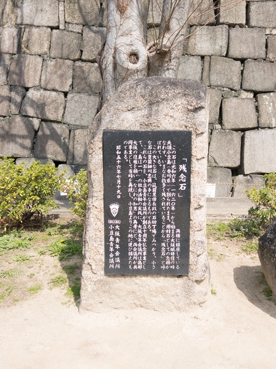 残念石