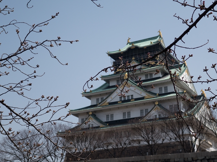 大阪城と桜