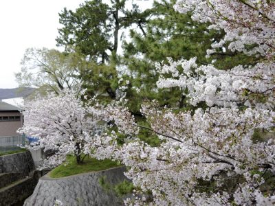 彩度あげてみた