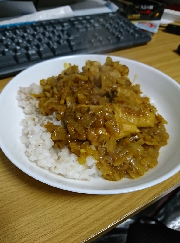 初のスパイスカレー