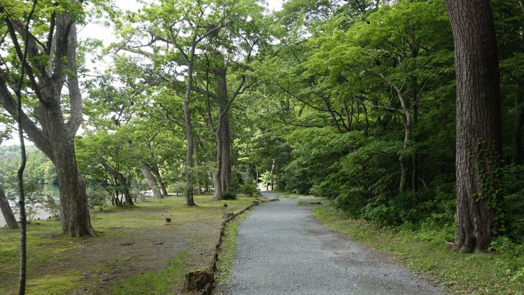 湖畔を散策した