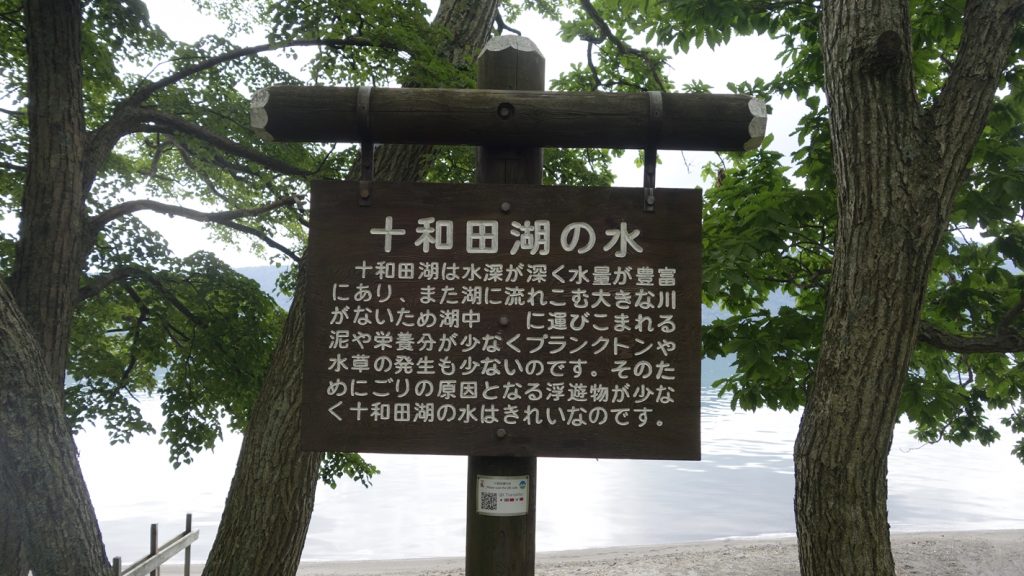 十和田湖の水が綺麗な理由