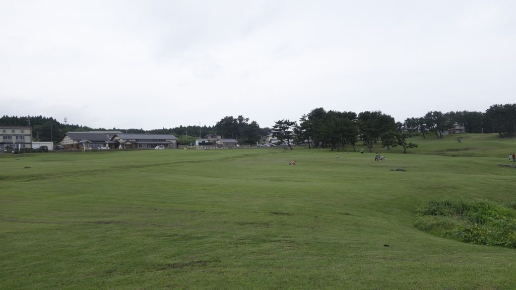 海のすぐ横にある草原、種差海岸